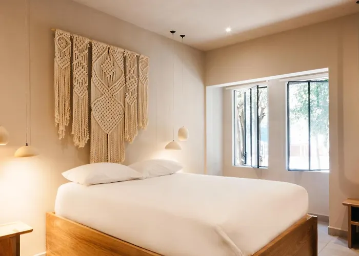 Casa Pancha Hostel *